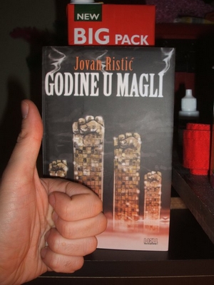 Jovan Ristić - Godine u magli