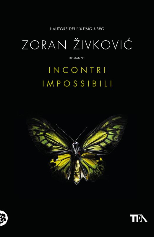 Zoran Živković - Incontri Impossibili