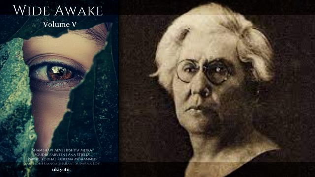 Bajka o Jeleni J. Dimitrijević objavljena u publikaciji Wide Awake