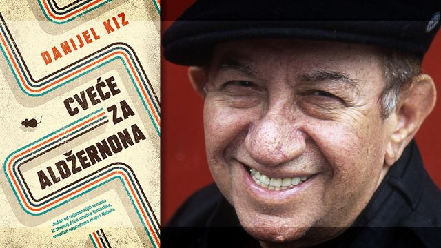 Cveće za Aldžernona - Danijel Kiz