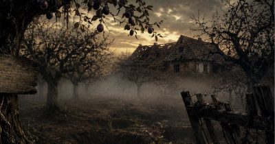 Zapušteni šljivik, neobjašnjiva nelagoda i zemlja koja pamti. Pročitajte atmosferičnu horor priču Nenada Smiljkovića ŠLJIVIK.
